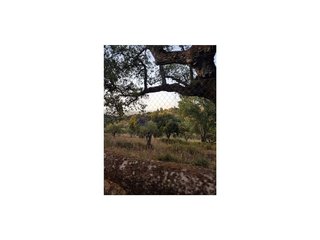 Chalet en venta en Ciudad Monumental en Cáceres