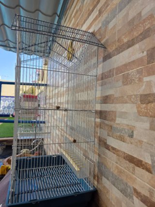 Jaula para pájaros en buen estado
