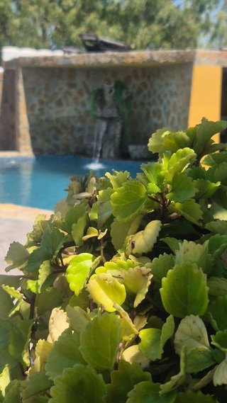 Casa en venta en Jimena de la Frontera