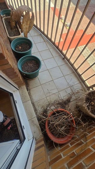 Piso en venta en San Mamés - La Palomera en León