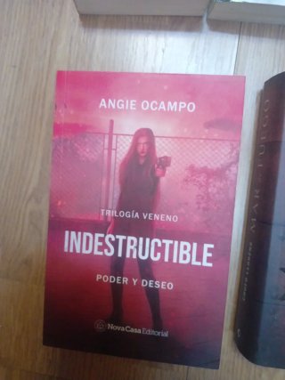 Lote 24x12€ Stephen King Borges Javier Cercas