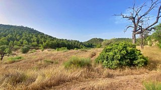 Casa rural en venta en Totana