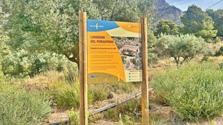 Casa rural en venta en Totana