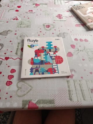 Lote libros 5 primaria trilema Soria
