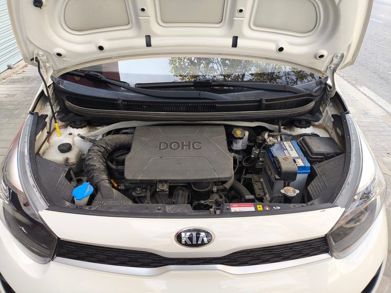 Kia Picanto 1.0 CVVT Concept 5p 2020, foto 39