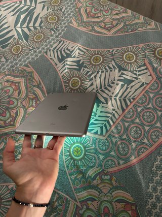 iPad 5ª Gen Plata