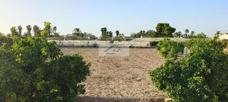 Casa rural en venta en La Foia - Daimés - Asprella en Elche