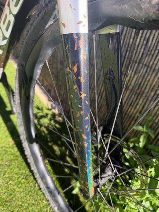 Orbea Terra 2024 Talla S Ruedas Carbono