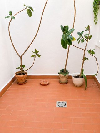 Piso en venta en Bullas
