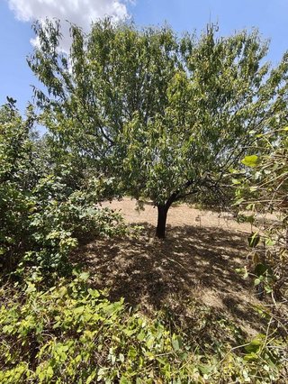 Casa rural en venta en Mejorada del Campo