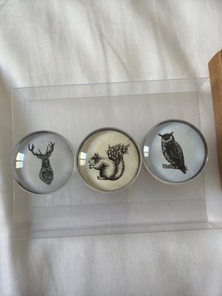 3 Imanes Decorativos Animales Vintage
