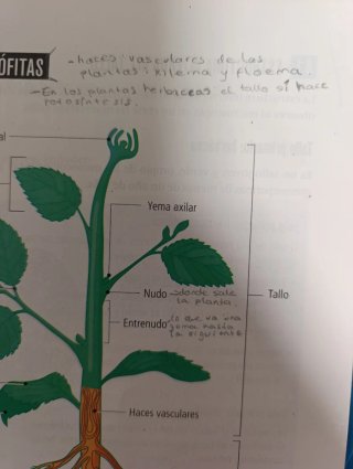 Proyecto: FanFest - Biología, Geología y Cienci...