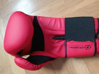 Guantes de boxeo FKT 180