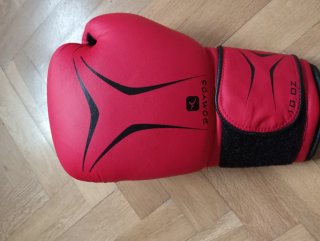 Guantes de boxeo FKT 180