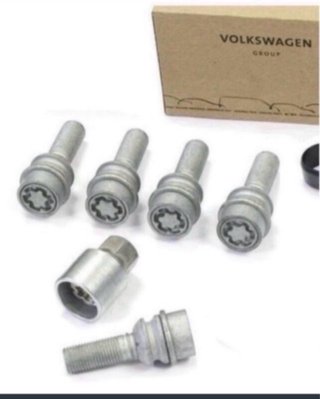 Tornillos antirrobo VW GOLF CADDY AUDI Q5 PASSAT
