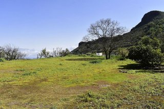 Casa rural en venta en Vega de San Mateo