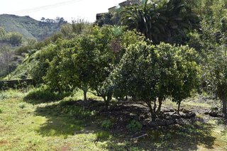 Casa rural en venta en Vega de San Mateo