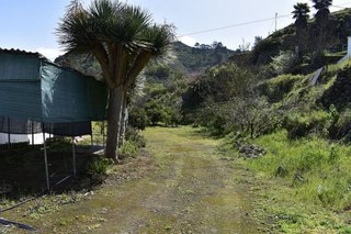 Casa rural en venta en Vega de San Mateo