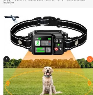 Collar perimetral  y GPS para perro