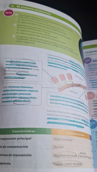 BIOLOGIA Y GEOLOGIA MADRID 3 ESO CONSTRUYENDO M...