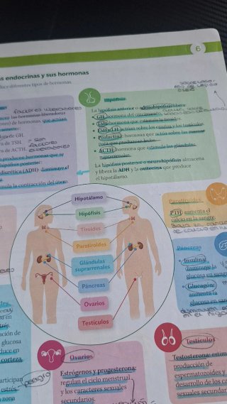 BIOLOGIA Y GEOLOGIA MADRID 3 ESO CONSTRUYENDO M...