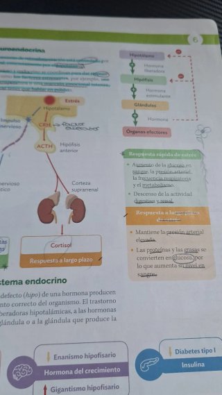 BIOLOGIA Y GEOLOGIA MADRID 3 ESO CONSTRUYENDO M...