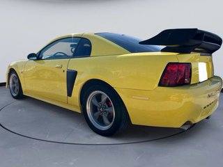 Ford Mustang 2002