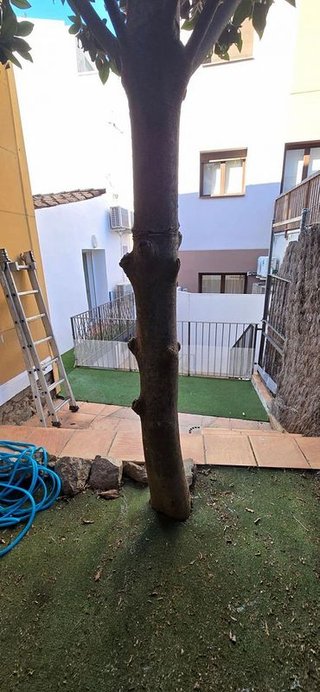 Casa adosada en venta en Centre en Alella