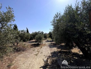 Casa rural en venta en La Paz-Las Américas en Linares