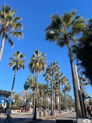 Piso en venta en Puerto Banús en Marbella