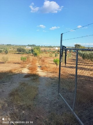 Terreno en venta en Almonte en Almonte