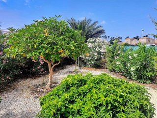 Chalet en venta en La Siesta - El Salado - Torreta en Torrevieja