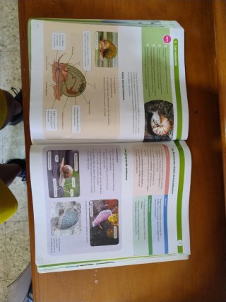 BIOLOGIA Y GEOLOGIA MEC 1ESO CONSTRUYENDO MUNDOS