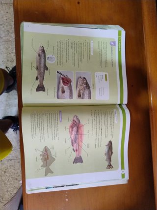 BIOLOGIA Y GEOLOGIA MEC 1ESO CONSTRUYENDO MUNDOS