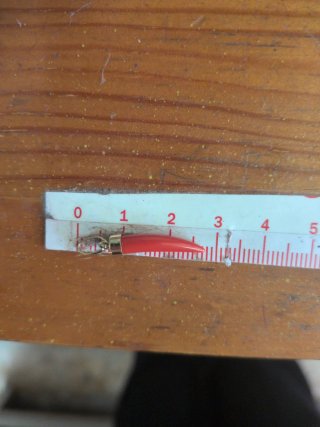 Colgante Cuerno Oro 18k (unidad)