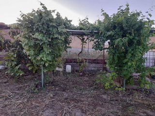 Casa rural en venta en Rute
