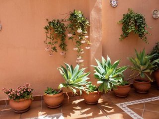 Casa adosada en venta en Coria del Río