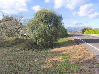 Masía en venta en Zona periurbana en Inca