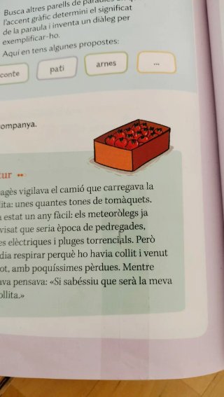 LLENGUA CATALANA 5 PRIMARIA CONSTRUINT MONS