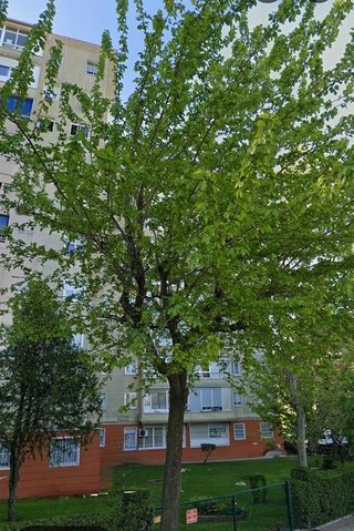 Piso en venta en El Naranjo en Fuenlabrada