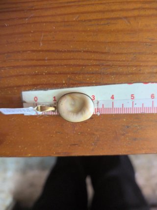 Colgante Orejita Oro 18k