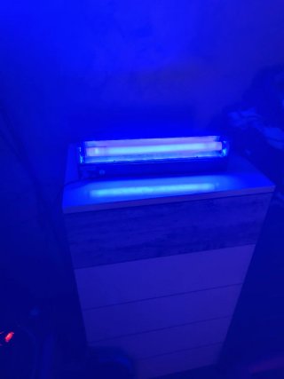 Lámpara Luz Negra UV Luz de neón tipo discoteca