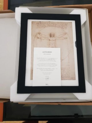 Leonardo 500 Skel Ed. Limitada Coleccionista