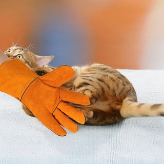 Guantes Manejo Animales Anti-mordidas o Arañazos