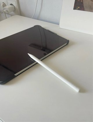 iPad Pro 11 2021 Plata/Gris Espacial