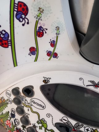 Thermomix TM31