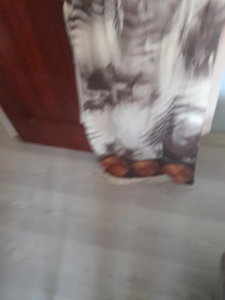 Lote 15 prendas mujer todo 5 euros