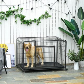 Gabbia per Cani Pieghevole a Doppia Porta 4 Ruote