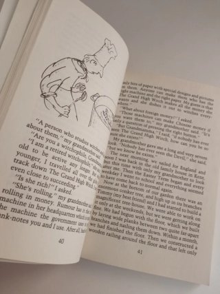 Libro The Witches (en inglés. Autor Roald Dahl