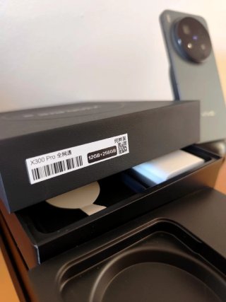 Vivo X300 Pro